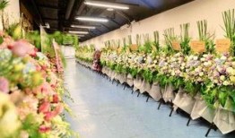 花篮网最新爆料网站官网,官网最新爆料，带你探秘幕后真相